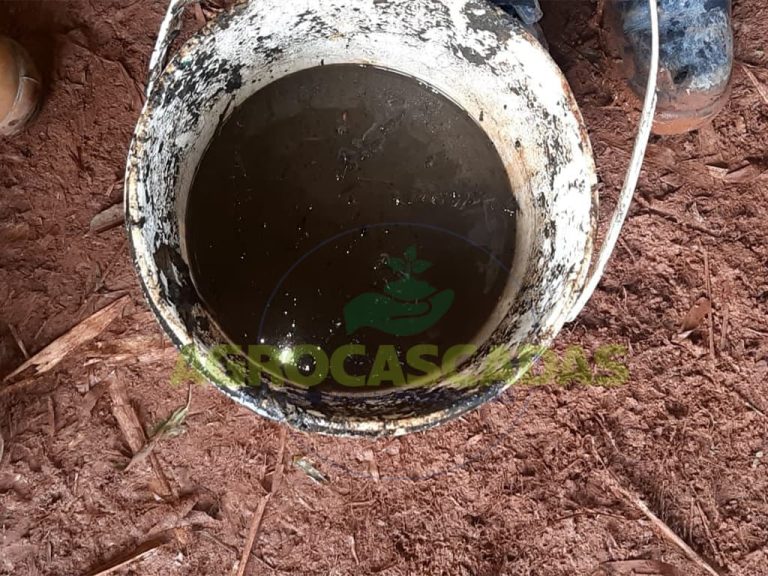 mantenimiento de pozos septicos cali colombia