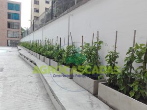 Materas para jardines exteriores